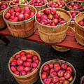 Apple Baskets Photograph by Craig J Satterlee Apple Baskets Photograph by Craig J Satterlee