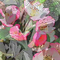 Apple Blooms at Easter Digital Art by Nancy Olivia Hoffmann Apple Blooms at Easter Digital Art by Nancy Olivia Hoffmann