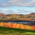 Apple Tree and Forest Lake #3739 Photograph by Dan Beauvais