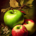 Apples by James Lloyd