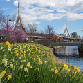April Afternoon at the Zakim Bridge by Kristen Wilkinson