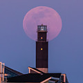 April Pink Supermoon Photograph by Nick Noble April Pink Supermoon Photograph by Nick Noble