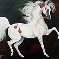 Arabian Spirit by Stacey Mayer