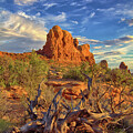 Arches Sunrise by Bob Falcone