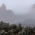 Arising from the Mist Photograph by Peter Cutler