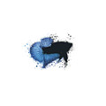 Artistic Blue Black Light Betta Fish Digital Art by Sambel Pedes Artistic Blue Black Light Betta Fish Digital Art by Sambel Pedes