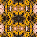 Artistic Dreamz 55 by Steven Murphy