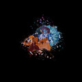Artistic Orange Multicolor Betta Fish Digital Art by Sambel Pedes Artistic Orange Multicolor Betta Fish Digital Art by Sambel Pedes