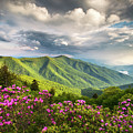 Asheville NC Blue Ridge Parkway Spring Flowers Photograph by Dave Allen Asheville NC Blue Ridge Parkway Spring Flowers Photograph by Dave Allen