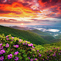 Asheville North Carolina Blue Ridge Parkway Scenic Sunset Landscape Photograph by Dave Allen Asheville North Carolina Blue Ridge Parkway Scenic Sunset Landscape Photograph by Dave Allen