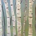 Aspen Study by Candelario Cervantez