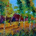 Aspen trees in autumn by Pol Ledent Aspen trees in autumn by Pol Ledent