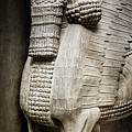 Assyrian Human-headed Winged Bull Photograph by Weston Westmoreland Assyrian Human-headed Winged Bull Photograph by Weston Westmoreland