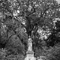 At Rest Photograph by Stephen Sloan At Rest Photograph by Stephen Sloan