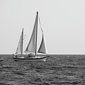 At Sail by Melissa Southern