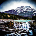 Athabasca Falls Photograph by Darcy Dietrich Athabasca Falls Photograph by Darcy Dietrich