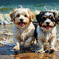 Auatralian Havanese Pups on the Beach by AI Digital