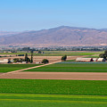 August in Soledad, CA Photograph by Derek Dean August in Soledad, CA Photograph by Derek Dean