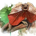 Australian Frilled Necked Lizard Painting by Simon Read Australian Frilled Necked Lizard Painting by Simon Read