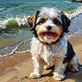 Australian Havanese on the Beach by AI Digital