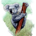 Australian Koala Painting by Simon Read Australian Koala Painting by Simon Read
