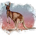 Australian Red Kangaroo Painting by Simon Read Australian Red Kangaroo Painting by Simon Read