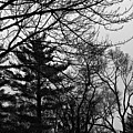 Authentic Expression - Black and White Photograph by Frank J Casella Authentic Expression - Black and White Photograph by Frank J Casella