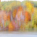 Autumn Along The Lake by Tamara Becker