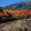 Autumn Along Walker Creek by Paul Breitkreuz