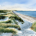 Autumn at Mayflower Beach by Michelle Constantine
