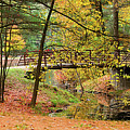 Autumn Bridge - PANO Photograph by Brook Burling