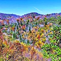 Autumn Colors Photograph by Allen Nice-Webb Autumn Colors Photograph by Allen Nice-Webb