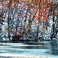 Autumn Dreaming Photograph by Sarah Lilja Autumn Dreaming Photograph by Sarah Lilja