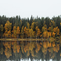 Autumn fairy tale in Kainuu, Finland Photograph by Vaclav Sonnek Autumn fairy tale in Kainuu, Finland Photograph by Vaclav Sonnek