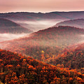 Autumn Fogs Photograph by Evgeni Dinev Autumn Fogs Photograph by Evgeni Dinev