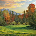 Autumn Forest Edge P by Frank Wilson