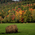 Autumn Hay Harvest Photograph by Robert Harris Autumn Hay Harvest Photograph by Robert Harris