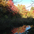 Autumn in Salem Photograph by Roxy Rich Autumn in Salem Photograph by Roxy Rich