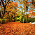 Autumn in the Country Photograph by Shelia Hunt Autumn in the Country Photograph by Shelia Hunt