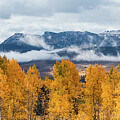Autumn in the Rockies Photograph by JBK Photo Art