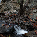 Autumn landscape in the river Photograph by Michalakis Ppalis Autumn landscape in the river Photograph by Michalakis Ppalis