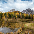 Autumn landscape with mountains and trees Photograph by Michalakis Ppalis Autumn landscape with mountains and trees Photograph by Michalakis Ppalis