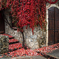 Autumn landscape with red plants on a hous wall Photograph by Michalakis Ppalis Autumn landscape with red plants on a hous wall Photograph by Michalakis Ppalis