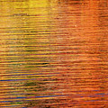 Autumn Reflection Photograph by Cathy Kovarik Autumn Reflection Photograph by Cathy Kovarik