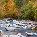 Autumn River by Jayne Carney