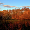 Autumn splendour Photograph by Baggieoldboy Autumn splendour Photograph by Baggieoldboy