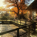 Autumn Sun of Denekamp Digital Art by Edward Galagan Autumn Sun of Denekamp Digital Art by Edward Galagan