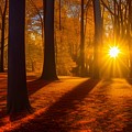 Autumn Woods Sunset Digital Art by Katrina Gunn Autumn Woods Sunset Digital Art by Katrina Gunn