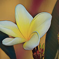 Aztec Gold Bloom by Deborah Benoit