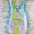 Back bone of Peace The Strength of Lace, Beauty of Roses, and Connectedness of Aspen by Feather Redfox